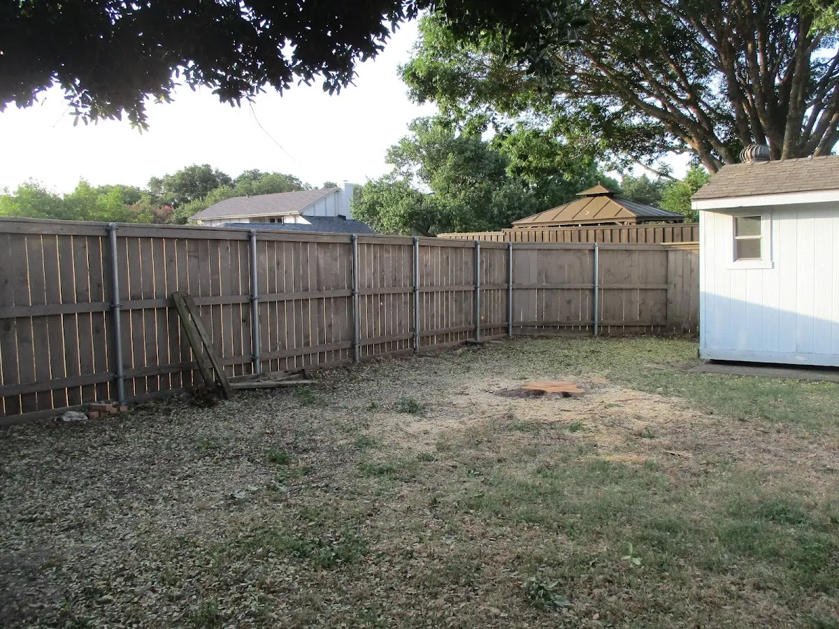 Cleared yard after professional tree removal in Margate City